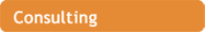Consulting